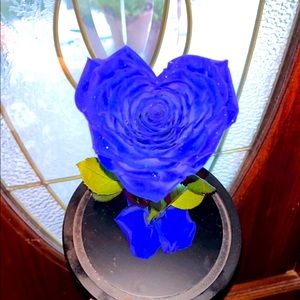 Beauty and the beast heart rose